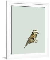 British Museum-Jenny Capon-Framed Giclee Print