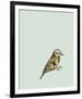 British Museum-Jenny Capon-Framed Giclee Print