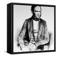 British Naturalist Advanced Theory of Evolution Charles Darwin Portrayed in Lithograph by Maguire-null-Framed Stretched Canvas