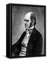 British Naturalist Charles Darwin Who Developed Theory of Evolution by Natural Selection-null-Framed Stretched Canvas