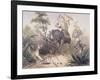 British Officers Tiger Shooting in India, 1860s-null-Framed Giclee Print