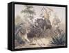 British Officers Tiger Shooting in India, 1860s-null-Framed Stretched Canvas