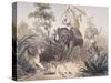 British Officers Tiger Shooting in India, 1860s-null-Stretched Canvas