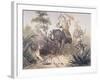 British Officers Tiger Shooting in India, 1860s-null-Framed Giclee Print