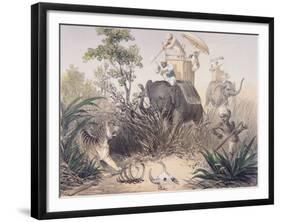 British Officers Tiger Shooting in India, 1860s-null-Framed Giclee Print