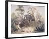 British Officers Tiger Shooting in India, 1860s-null-Framed Giclee Print