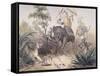 British Officers Tiger Shooting in India, 1860s-null-Framed Stretched Canvas