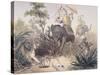 British Officers Tiger Shooting in India, 1860s-null-Stretched Canvas