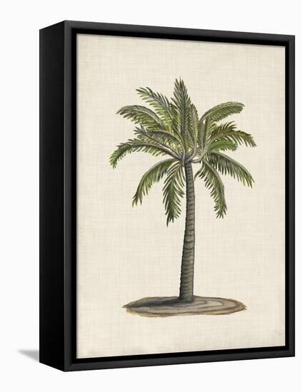 British Palms I-Naomi McCavitt-Framed Stretched Canvas
