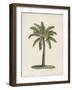 British Palms I-Naomi McCavitt-Framed Art Print