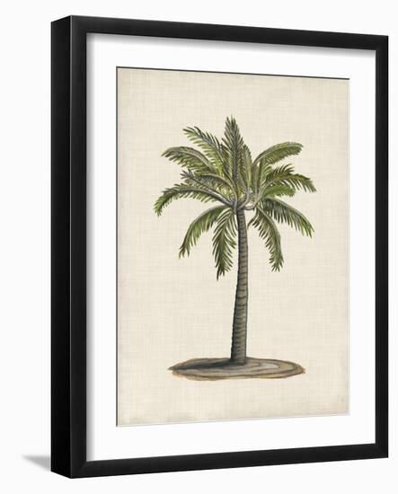 British Palms I-Naomi McCavitt-Framed Art Print