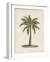 British Palms I-Naomi McCavitt-Framed Art Print