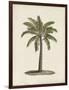 British Palms I-Naomi McCavitt-Framed Art Print