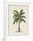 British Palms II-Naomi McCavitt-Framed Art Print