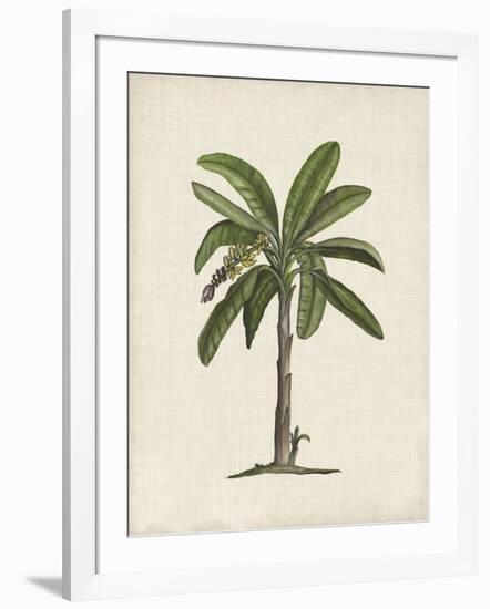 British Palms II-Naomi McCavitt-Framed Art Print