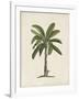 British Palms II-Naomi McCavitt-Framed Art Print