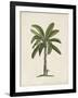 British Palms II-Naomi McCavitt-Framed Art Print