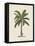 British Palms II-Naomi McCavitt-Framed Stretched Canvas