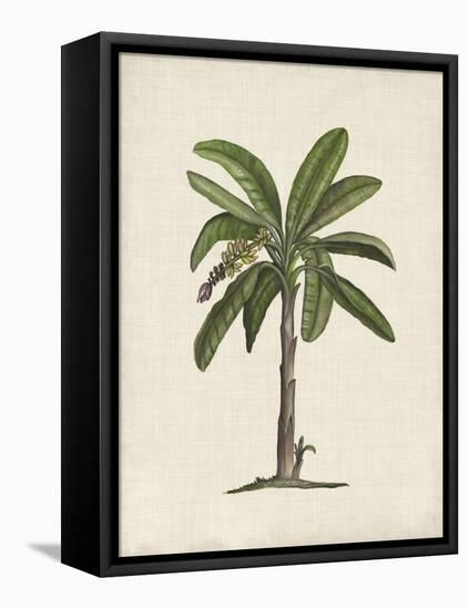 British Palms II-Naomi McCavitt-Framed Stretched Canvas