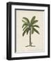 British Palms II-Naomi McCavitt-Framed Art Print