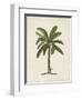 British Palms II-Naomi McCavitt-Framed Art Print