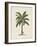 British Palms II-Naomi McCavitt-Framed Art Print