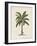 British Palms II-Naomi McCavitt-Framed Art Print