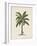 British Palms II-Naomi McCavitt-Framed Art Print