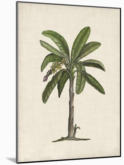British Palms II-Naomi McCavitt-Mounted Art Print