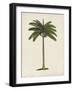 British Palms IV-Naomi McCavitt-Framed Art Print