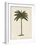 British Palms IV-Naomi McCavitt-Framed Art Print