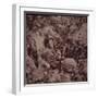 British Paratroopers Bombard German Positions with Mortars, Battle of Arnhem, 1944 (B/W Photo)-English-Framed Giclee Print