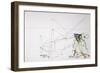 British Politics 2000s, Mandelthing Emerging, 2009 (drawing)-Ralph Steadman-Framed Giclee Print