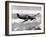 British RAF Hawker Hurricane-null-Framed Premium Photographic Print