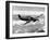 British RAF Hawker Hurricane-null-Framed Premium Photographic Print