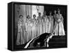 British Royal Family-null-Framed Stretched Canvas