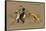 British Sailor on a Mule, Pushed by Egyptian Man-V. Manavian-Framed Stretched Canvas