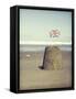 British Sandcastle-Tom Quartermaine-Framed Stretched Canvas