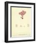 British Sea-Weed-null-Framed Premium Giclee Print