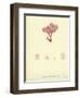 British Sea-Weed-null-Framed Giclee Print