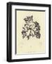 British Sea-Weed-null-Framed Premium Giclee Print