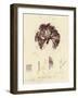 British Sea-Weed-null-Framed Giclee Print