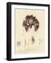 British Sea-Weed-null-Framed Giclee Print