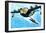 British Short Sunderland Flying Boat WWII War Propaganda Art Print Poster-null-Framed Poster