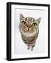 British Shorthair Brown Spotted Cat, Tiger Lily, Looking Up-Mark Taylor-Framed Photographic Print