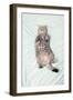 British Shorthair Cat Lying Down on its Back in Bed Looking Up-Coverzoo-Framed Photographic Print