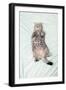 British Shorthair Cat Lying Down on its Back in Bed Looking Up-Coverzoo-Framed Photographic Print