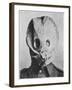 British Soldier in "Anti-Gas Helmet", Gas Mask-null-Framed Art Print