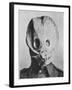 British Soldier in "Anti-Gas Helmet", Gas Mask-null-Framed Art Print