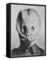 British Soldier in "Anti-Gas Helmet", Gas Mask-null-Framed Stretched Canvas